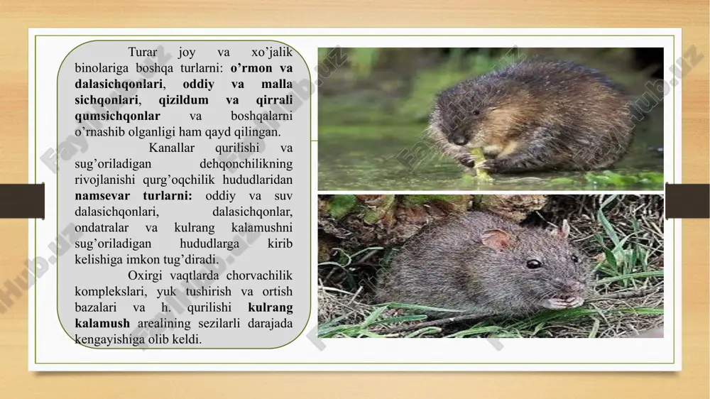 orroziyasini – zanglashini va betonlarning yemirilishini kuchaytiradi. suvda uzoq muddatda qo’yilgan asboblarda ham bioqoplamalar o’sishi tufayli ularning ishiga ta’sir ko’rsatadi. makroqoplovchilarining antropogen substratda turlari aniqlangan. hozirgi kunda ularning 3000 dan ortiq turlari ma’lum, tabiatda esa ularning jami soni 20000 dan ortiq deb taxmin qilinadi. qoplovchilardan ko’pincha evribiont, ya’ni turli tuman sharoitlarda yashovchilari xavfli hisoblanadi. baliqchilarning to’rlari haftalab yoki bir kunda bioqoplagichlar bilan shunday og’irlashishi mumkinki, natijada to’rlarni ko’tarish og’irlashadi yoki ularni butunlay cho’ktiradi, baliqchilar to’rlarni ko’tarishda og’ir ahvolga tushadilar, ayrim hollarda qisqichbaqalar balyanuslarning o’tkir qismiga tegib, hatto qo’llarini jarohatlashlari ham mumkin. biroq ushbuni aytish o’rinliki, bizda sho’rroq va chuchuk suvlarda sirdaryo va amudaryoning sekin oqar orol oldi hududlarida bioqoplamachilar-ikki pallali mollyusklar to’p-to’p bo’lib, bioqoplamalar hosil qiladi. chuchuk suv qoplamachilariga dreyssenalardan hosil bo’lgan bioqoplamalar, ayrimda o’n va 50-60 g/m2 yetishi aniqlangan. bakteriyalar barcha joydagi qoplamachilikda uchraydi. ular suvlarga qo’yilgan birinchi predmetlarning toza qismida paydo bo’ladi. asosan bakterial plyonka tuban suv o’tlari …