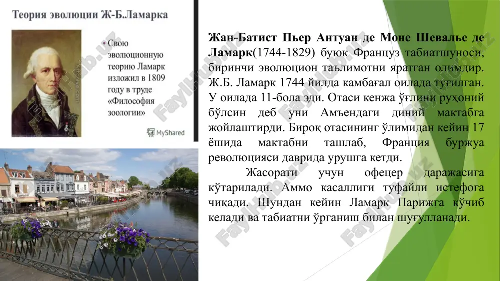 еришини инкор этади. унинг фикрича табиатда индивидлар нобуд бўлади, лекин турларнинг табиий ўлими юз бермайди. улар муҳит шароитига мувофиқ равишда ўзгаради, холос. ламаркнинг органик олам градацияси органик олам оддийдан мураккабга, юксакликка борар экан, табиатда маълум бир босқичлар-поғоналар бор. ламарк ана шу поғоналарни градация деб атади. градация принципи умумий биологик принцип бўлиб, эволюцион жараённинг асосий йўналиши ҳисобланади. ламарк париждага табиий-тарихий музейга келишидан бошлаб ҳайвонот оламини системага солиш билан шуғулланади ва к.линнейнинг 6 та синфи ўрнига ҳайвонот оламини 14 та синфга бўлади. линней системаси: 1. сут эмизувчилар 2. қушлар 3. амфибиялар 4. балиқлар 5. ҳашаротлар 6. чувалчанглар бунда ҳайвонот олами мураккабдан оддийга қараб жойлаштирилган. бу сунъий системадир. ламарк ўз системасида ҳайвонлар синфини шундай жойлаштирдики, энг оддий инфузориялар биринчи, энг мураккаб-сут эмизувчилар системасининг юқори паҳонасида туради. ламарк градацияси 7 босқичдан иборат: ламарк ташқи муҳитнинг роли хақида табиатда градация доимо тўғри амалга ошмасдан, ташқи муҳит таъсирида тараққиёт йўналишларида турли ўзгариш содир бўлади. ламарк бу …