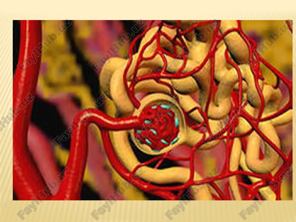 utkirglomerulonefrit - Page 5
