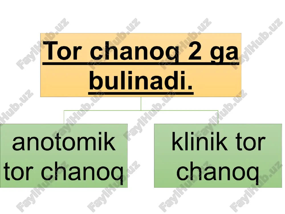 tor chanoq anatomiyasi - Page 5