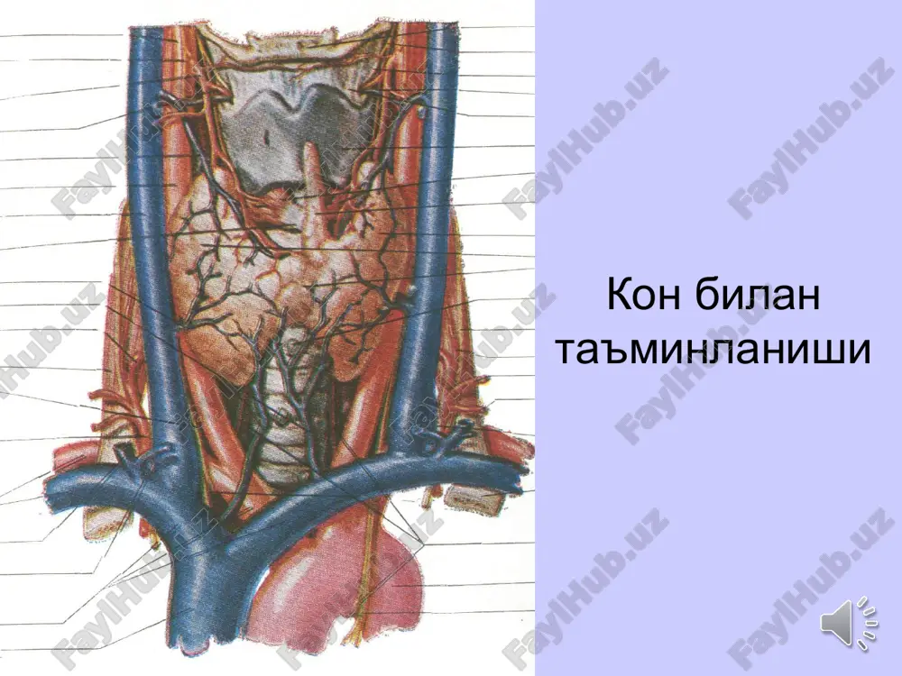 l miksedema; boldir oldingi yuzasida tarang shish va terisining malla-sarik rangli uzgarishi. konservativ terapiya 1. yodning mikrodozalari, lyugol, dengiz karami 2. merkazolil 3. beta-adrenoblokatorlar 4. yurak glikozidlari 5. metiluratsil 6. detoksikatsion terapiya va diurez stimulyatsiyasi 7. anaboliklar, vitaminlar 8. gemotransfuziya, kon urnini bosuvchi preparatlar, plazma va oksil preparatlari kuyish 8. fizioterapevtik usullar – elektrouyku, galvanik yoka, gbo 9. radioaktiv yod (j131) (individual dozada) xirurgik davolash kursatmalar: yod preparatlariga allergiya urta va ogir shakldagi diffuz toksik bukok tugunli toksik bukok (tireotoksik adenoma) buyin a'zolarini ezuvchi katta bukok (darajasidan kat'iy nazar) aralash bukok bukokning profilaktikasi umumiy: yodlangan tuzdan foydalanish sanitar-gigienik meyorlarga rioya kilish stress xolatlarni kamaytirish ratsional oziklanish shaxsiy: yodning mikrodozalari va antistrumin