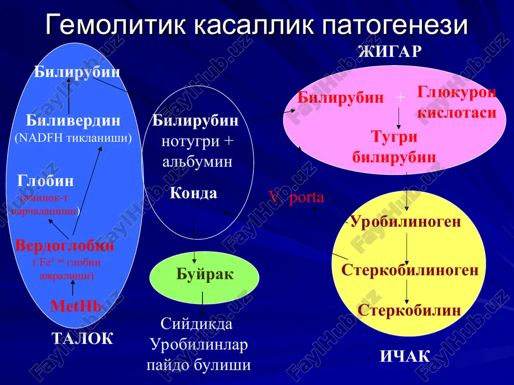 rezus – sensibilizatsiya va homila gemolitik kasalligi - Page 5