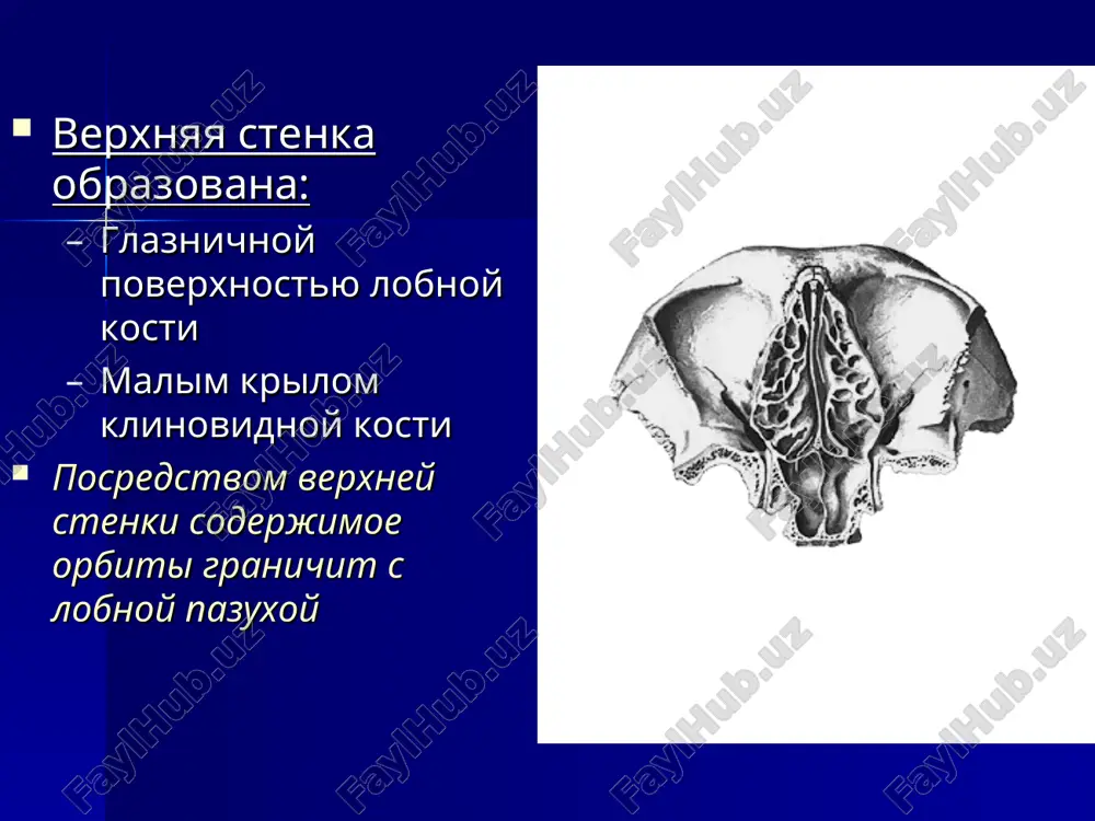 ganii pretarzalnaya chast krugovoy mishtsi glaza sdavlivayut ampulu, ukorachivayut sleznie kanaltsi, sdvigaya sleznie tochki medialno odnovremenno s etim preseptalnaya chast mishtsi sokrashaetsya i rastyagivaet meshok, sozdavaya otritsatelnoe davlenie sleznaya jidkost postupaet v kanaltsi, ampulu i meshok po gradientu davleniya pri raskritii glaznoy sheli proisxodit rasslablenie mishts, padenie sleznogo meshka i postuplenie slezi v slezno-nosovoy kanal po gradientu davleniya i pod vliyaniem sili tyajesti za sutki u cheloveka videlyaetsya 0,4–1 ml slezi, pri silnom plache mojet videlitsya do 2 chaynix lojek udelniy ves 1,001–1,008 jidkost, produtsiruemaya sleznoy jelezoy, dostatochno slojna po svoemu sostavu, no sama ona yavlyaetsya lish odnim iz komponentov prekornealnoy sleznoy plenki – strukturi, prizvannoy zashishat i pitat rogovitsu ona sostoit iz 3 sloev: vneshniy lipidniy sloy formiruetsya iz sekreta meybomievix jelez i jelez tseysa vipolnyaet 3 osnovnie funktsii: predoxranyaet sleduyushiy (vodniy) sloy ot prejdevremennogo visixaniya lipidniy sloy yavlyaetsya svoego roda substratom obespechivayushix vertikalnoe polojenie vsey plenki na rogovitse …