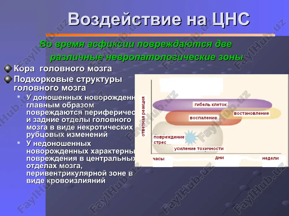 ya kliniku dislokatsii s rezkim narusheniem vitalnix funktsiy zatrudnenie venoznogo ottoka mojet viyavlyatsya ottyokom diska zritelnogo nerva, krovoizliyaniya v setchatku i drugie uchastki glaz tyajyolaya forma zabolevaniya techenie zabolevaniya pri tyajyolom, dvuxstoronnem povrejdenie tsns xarakterno ugneteno soznanie – stupor, koma dixatelnie rasstroystva – apnoe, gasping, obichno soxranena reaktsiya zrachkov na svet ponijen mishechniy tonus i dvigatelnaya aktivnost sudorogi klinicheskie proyavleniya v techenii 1 – 12 chasov jizni techenie zabolevaniya mojet proyavlyatsya povishennaya vozbudimost, kotoraya ne oznachaet uluchshenie obshego sostoyaniya bolnogo shiroko raskritie glaza, net fiksatsii vzglyada, net reaktsii na razdrajiteli sudorogi raznogo vida, povtornie i virajennie mogut svidetelstvovat o ploxom isxode (35-70%) donoshennim xarakterni fokalnie sudorogi nedonoshennim – minimalnie proyavleniya, redko bivayut klonicheskogo xaraktera apnoe v konechnostyax ponijen mishechniy tonus v proksimalnix otdelax, plechevoy chasti klinicheskie proyavleniya v techenii 12-24 chasov jizni techenie zabolevaniya xarakterni priznaki stupora yarkie proyavleniya rds «kukolnie glaza» vibuxanie bolshogo rodnichka nedonoshennim xarakterni krovoizliyaniya donoshennim proxodyat …