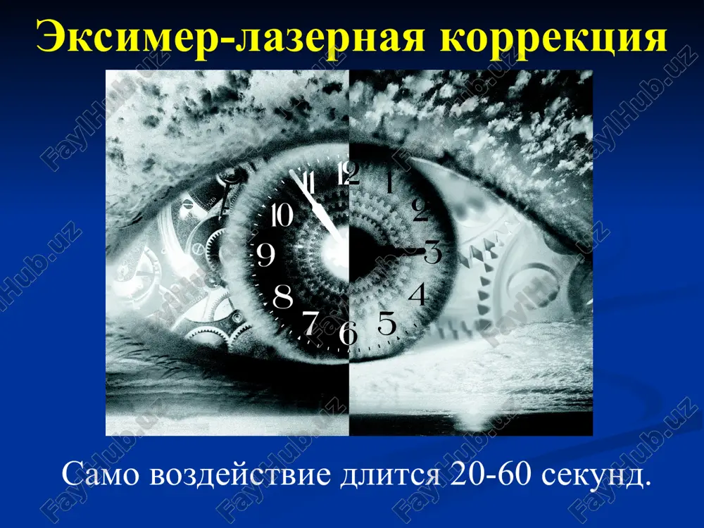 v net nikakix shvov, rubtsov, nasechek spasibo za vnimanie!!!