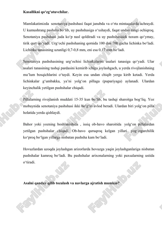 asalari tanasining tashqi pardasini kemirib ichiga joylashgach, u yerda rivojlanishning maʼlum bosqichlarini oʻtaydi. keyin esa undan chiqib yerga kirib ketadi. yerda lichinkalar gʻumbakka, yaʼni yolgʻon pillaga (pupariyaga) aylanadi. ulardan keyinchalik yetilgan pashshalar chiqadi. pillalarning rivojlanish muddati 15-35 kun boʻlib, bu tashqi sharoitga bogʻliq. yoz mobaynida senotaniya pashshasi ikki boʻgʻin avlod beradi. ulardan biri yolgʻon pilla holatida yerda qishlaydi. bahor yoki yozning boshlanishida , issiq ob-havo sharoitida yolgʻon pillalardan yetilgan pashshalar chiqadi. ob-havo quruqroq kelgan yillari yogʻingarchilik koʻproq boʻlgan yillarga nisbatan pashsha kam boʻladi. hovuzlardan uzoqda joylashgan arizorlarda hovuzga yaqin joylashganlariga nisbatan pashshalar kamroq boʻladi. bu pashshalar arixonalarning yoki paxsalarning ustida oʻtiradi. asalni qanday qilib tozalash va navlarga ajratish mumkin? 2018-yil 19-mart odiljon yakubov kiritgan. asal tarkibida ikki xil mexanik aralashma boʻladi: tabiiy va keyin tushgan har xil aralashmalar. chang va kraxmal zarrachalari, suvoʻtlari hujayralari, achitqi va boshqalar tabiiy mexanik aralashmalarga kiradi, ularning asalga tushishi asalarichiga bogʻliq emas. boshqa aralashmalar – …