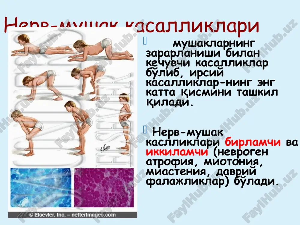 nasliy kasalliklar va ularning davolash usullari - Page 5