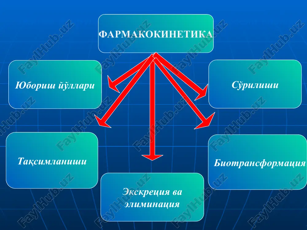 – 75% 3t1/2- 90% yarim eliminatsiya davri (t1/2) preparatni to'liq effekti - 5t1/2 preparatni ta'sirini davomiyligi - 4t1/2 klirens (sl-ml/min) ma'lum vaqt birligida dori vositasidan to'la tozalangan qon plazmasini shartli hajmi tsimetidinni umumiy klirensi = 810 ml/min buyraklar klirensi- 600 ml/min metabolik klirens - 200 ml/min jigar klirensi- 10 ml/min kreatinin normada qondagi kreatinin miqdori: 1 yoshgacha – 18-35 mkmol/l, 1 yoshdan 14 yoshgacha – 27-62 mkmol/l, ayollarda – 53-97 mkmol/l, erkaklarda – 62-115 mkmol/l. normada kreatinin siydikda ayollarda 5,3 – 15,9 mmol/l, erkaklarda 7,1 – 17,7 mmol/l. qonda kreatinin kontsentratsiyasini oshishi, odatda buyraklar funktsiyasi 50% dan qo'proq sustlashganda kuzatiladi. kreatinin klirensi buyraklar faoliyatini sustlashishi to'g'risida qonda kreatininni oshishidan ancha oldin dalolat beradi. muvozanatli kontsentratsiya ( css ) dori vositani organizmga kirish va organizmdan chiqish tezligi bir hil bo'lgan holat meni siz davolaysizmi?! 888.wmv