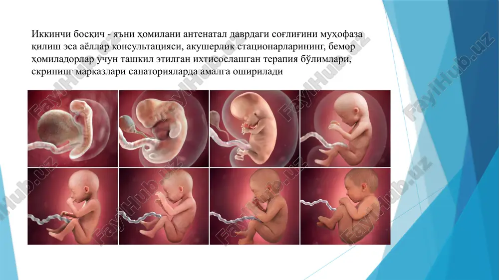 alingan. birlamchi tibbiy-sanitariya yordami muassasalarida homilador ayolning birinchi tashrif buyurgan kunidan boshlab sanitariya - maorifi ishlari olib boradi. «yosh onalar maktabi» tashkil etiladi. uning asosiy maqsadi: - yosh eru-xotinda o'ziga bo'lgan ishonchni shakllantirish; ayolda baxtli, sog'lom homiladorlik va onalik tuyg'usini shakllantirish; - ikki yoshni bolani tug'ilishiga tayyorlash, ayolga tug'ruq davridagi stresslarga o'zini tutish bo'yicha maslahatlar berish; - tug'ruqdan keyin ayol o'z salomatligini tezda tiklab olishi uchun ota - onalarda sog'lom turmush tarzini shakllantirish; - tug'ruqdan keyin ko'krakni parvarishlash, bolani ko'krak suti bilan boqish usullari bilan tanishtirish, chaqaloqni to'g'ri parvarish qilish; bo'lajak kelin - kuyovni tekshirishdan o'tkazishning ro'yxati: 1. yoshlar qat'iy tartibda 5ta mutaxassis ko'rigidan o'tishlari lozim (terapevt, endokrinolog, akusher-ginekolog dermatovenerolog, androlog). 2. lozim bo'lganda boshqa mutaxasislar konsultatsiyasi tashkil qilinadi. 3. tekshirish usullari: a) qonning va siydikning umumiy tahlili, qondagi qand miqdorining tahlili; b) siydikning nechiporenko usulidagi tahlili; v) qonni va oitsga qarshi tekshirish; g) jinsiy hayot tarzini kechirayotgan erkak va …