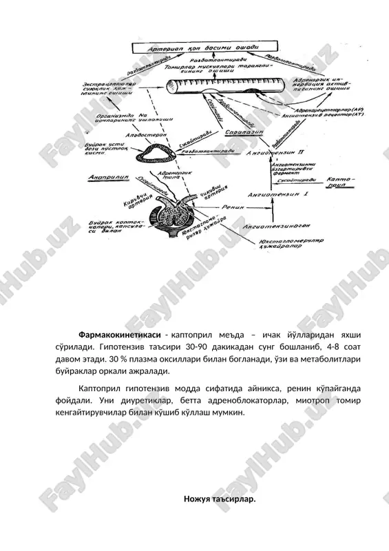 ilamin verapamil, gallopamil, anipamil, devapamil. tiapamil (+natriy kanallarini bloklaydi), falipamil (st ingibitori), zatebradin, niguldipin (k+1). digidropiridin nifedipin, amlodipin (norvask), isradipin (lomir), latsidipin, nisoldipin, imodipin, manidipin, felodipin (plendil). benzotizepin diltiazem (kardil), klentiazen. turli ximiyaviy to'zilishga ega blokatorlar. mibefradil. bepridil (natriy va kaliy kanallari blo-katori).antiaritmik i, iii, iv sinf, monatepil (alfa adrenoblokator, gipolepidemik). kaltsiy kanallari blokatorlari (t.touo-oka, w/ nayler, 1996) unumlari birinchi avlod. ikkinchi avlod uchinchi avlod p-a p-b degidropiridinlar nifidipin nifidipin gits fellodipin er nikardipin er felodipin nisoldipin isradipin nimodipin amlodipin. fenilalkilamin. verapamil verapamil sr gallopamil anipamil tiapamil benzotiazepin diltiazem diltiazem sr klentiazem farmakodinamikasi. farmakokinetikasi. veropamil - enteral yuboriladi, ta'sir davomiyligi 11-16 soat, kon plazmasi oksillari bilan 99 % boglanadi, chikarilishi buyraklar orkali. kullanilishi. arterial gipertenziya, stenokardiya, suproventrikulyar aritmiya, toj tomirlar etishmovchiligi. nojuya ta'siri. bosh aylanishi, bosh ogrigi, terida toshmalar toshishi. chikarilish shakli. verapamil – kobikli tabletkada 004 va 008, ampulada 025 % - 2 ml. bilet javob bilet javob glyukokortikoidlarni …