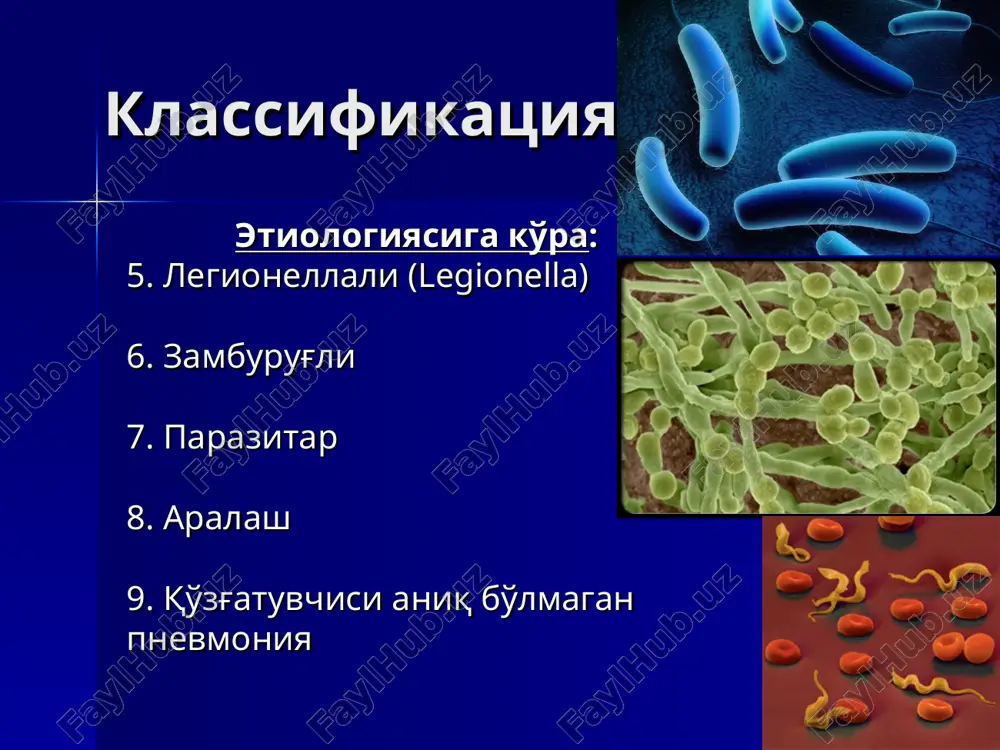 iya keng spektrli antibiotiklar + anaerob preparatlar (metronidazol, karbopenemlar) atipik pnevmoniya makrolidlar, doksitsiklin davolash davolash davomiyligi kasalxonadan tashqari pnevmoniya 5-10 kundan mikoplazmali, xlamidiyali – 21 kun legionellali – 21 kun gospital pnevmoniya – normal temperatura 3-4 kun davolash fonida asoratlari plevrada suyuqlik yig'ilishi plevra empiemasi destruktsiya/abstsess o'tkir respirator distress-sindrom o'ne septik shok sepsis perikardit, miokardit nefrit asorati abstsess diagnostika ko'p kamerali xaltasimon plevra empiemasi e'tibor uchun raxmat! moraxella catarrhalis