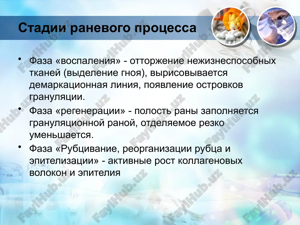 rany va ranevaya infektsiya - Page 5