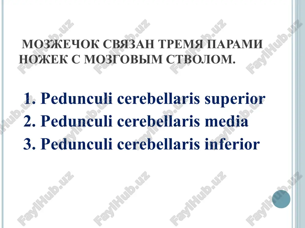 ekstrapiramidnaya sistema i mozjechok - Page 5