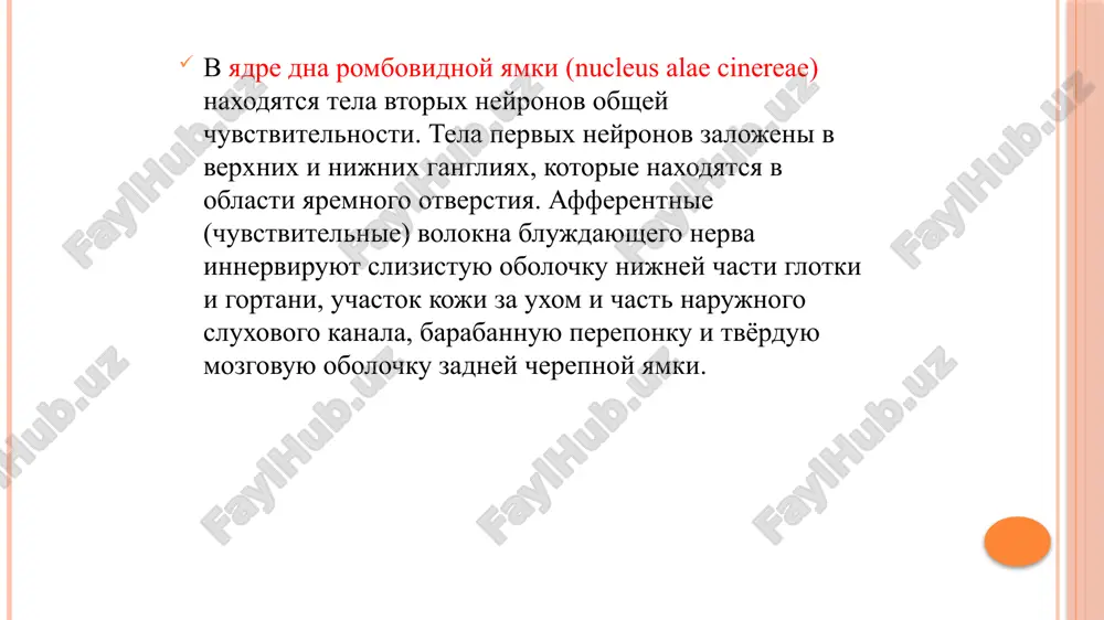 , podnimayushey nyobnuyu zanavesku, i k mishtse yazichka. verxniy gortanniy nerv (n.laryngeus superior) nachinaetsya ot nijnego uzla, idyot vdol vnutrenney sonnoy arterii, prinimaya vetvi ot verxnego sheynogo simpaticheskogo uzla i glotochnogo spleteniya, i podxodit k bokovoy poverxnosti gortani. pered etim on raspadaetsya na vetvi: narujnaya vetv innerviruet slizistuyu obolochku glotki, chastichno shitovidnuyu jelezu, a takje nijniy konstriktor glotki i perstneshitovidnuyu mishtsu. vnutrennyaya vetv innerviruet slizistuyu obolochku gortani (vishe golosovoy sheli), nadgortannika i chastichno kornya yazika soedinitelnaya vetv s nijnim gortannim nervom verxnie sheynie serdechnie nervi (nn.cardiaci cervicales superiores) v kolichestve 2-3, otxodyat ot stvola blujdayushego nerva i napravlyayutsya vdol obshey sonnoy arterii. oni soedinyayutsya s serdechnimi vetvyami ot simpaticheskogo stvola i, podoydya k serdtsu, vxodyat v sostav serdechnogo spleteniya. nijnie sheynie serdechnie nervi (nn.cardiaci cervicales inferiores) bolee mnogochislennie i znachitelno tolshe verxnix, otxodyat neskolko nije vozvratnogo gortannogo nerva. napravlyayas k serdtsu, vetvi soedinyayutsya s ostalnimi serdechnimi vetvyami ot blujdayushego nerva …