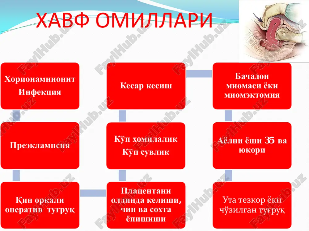 irinchi navbatda nima qilish shart a. tug'ruk yo'llarini ko'rish b. bachadonni qisqartiradigan vositalarni yuborish s. bachadon bo'shlig'ini qo'l bilan tekshirish parametriyga klemma ko'yish 3. tug'uvchi ayol tug'ruqning uchinchi davrida, 8 minut oldin tug'ruq sodir bo'ldi, tug'ilgan homila vazni 3500g., to'satdan jinsiy yo'llardan qon ketdi. qon yo'qotish 200ml ga etdi.nima qilish kerak? a. yo'ldoshni faol ajratish b. uterotoniklarni yuborish s. yo'ldoshni qo'l bilan ajratish va chiqarish d. tashqi usullar bilan yo'ldoshni ajratish e. siydik pufagini kateterlash 4. tug'rukdan keyin uzok davomli yoki to'satdan qon ketish a. kechiktirib bo'lmaydigan va aktiv yondoshuvni talab qiladi b. davodan oldin 24 soat davomida kuzatiladi s. 500 ml dan ortiqqon yo'qotilgandan keyin davo boshlanadi d. bachadon qisqarishini stimullovchi preparatlar talab qilinmaydi e. davodan oldin 2 soat davomida to'liq kuzatiladi 5. tug'ruqdan keyin agar qon ketish mavjud bo'lsa bachadon bo'yni, qin devori va oraliq yirtilishi haqida o'ylash lozim, agar: a. butun platsenta va qisqargan bachadon b. butunligi …
