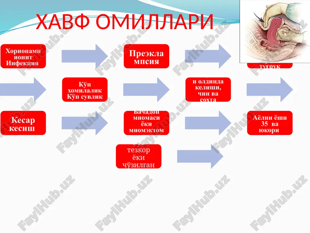 a nima qilish shart a. tug'ruk yo'llarini ko'rish b. bachadonni qisqartiradigan vositalarni yuborish s. bachadon bo'shlig'ini qo'l bilan tekshirish parametriyga klemma ko'yish 3. tug'uvchi ayol tug'ruqning uchinchi davrida, 8 minut oldin tug'ruq sodir bo'ldi, tug'ilgan homila vazni 3500g., to'satdan jinsiy yo'llardan qon ketdi. qon yo'qotish 200ml ga etdi.nima qilish kerak? a. yo'ldoshni faol ajratish b. uterotoniklarni yuborish s. yo'ldoshni qo'l bilan ajratish va chiqarish d. tashqi usullar bilan yo'ldoshni ajratish e. siydik pufagini kateterlash 4. tug'rukdan keyin uzok davomli yoki to'satdan qon ketish a. kechiktirib bo'lmaydigan va aktiv yondoshuvni talab qiladi b. davodan oldin 24 soat davomida kuzatiladi s. 500 ml dan ortiqqon yo'qotilgandan keyin davo boshlanadi d. bachadon qisqarishini stimullovchi preparatlar talab qilinmaydi e. davodan oldin 2 soat davomida to'liq kuzatiladi 5. tug'ruqdan keyin agar qon ketish mavjud bo'lsa bachadon bo'yni, qin devori va oraliq yirtilishi haqida o'ylash lozim, agar: a. butun platsenta va qisqargan bachadon b. butunligi buzilgan …