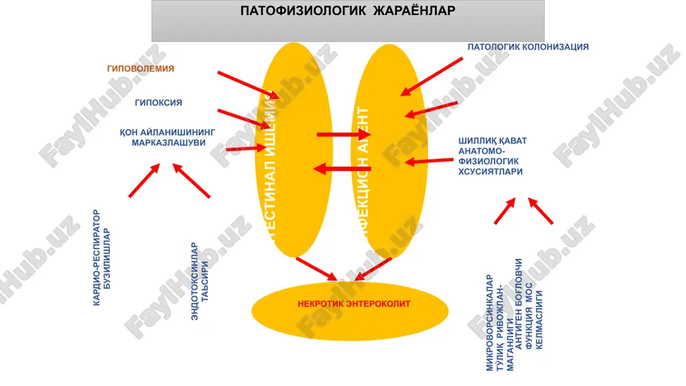 ichaklarning «qalqib» turishi qorin bo'shlig'idagi yig'ilgan suyuqlik hisobiga bo'lib, bunday alomat «suzuvchi ichaklar» simptomi deb ataladi. e'tiboringiz uchun r a x m a t !!! blogadaryu za vnimanie image1.jpeg image2.jpeg image3.jpeg image4.jpeg image5.jpeg image6.jpeg image7.jpeg image8.png image9.png image10.jpeg image11.png audio1.wav image12.jpeg image13.jpeg image14.jpeg image15.jpeg image16.png audio2.wav image17.jpeg image18.png image19.jpeg /docprops/thumbnail.jpeg