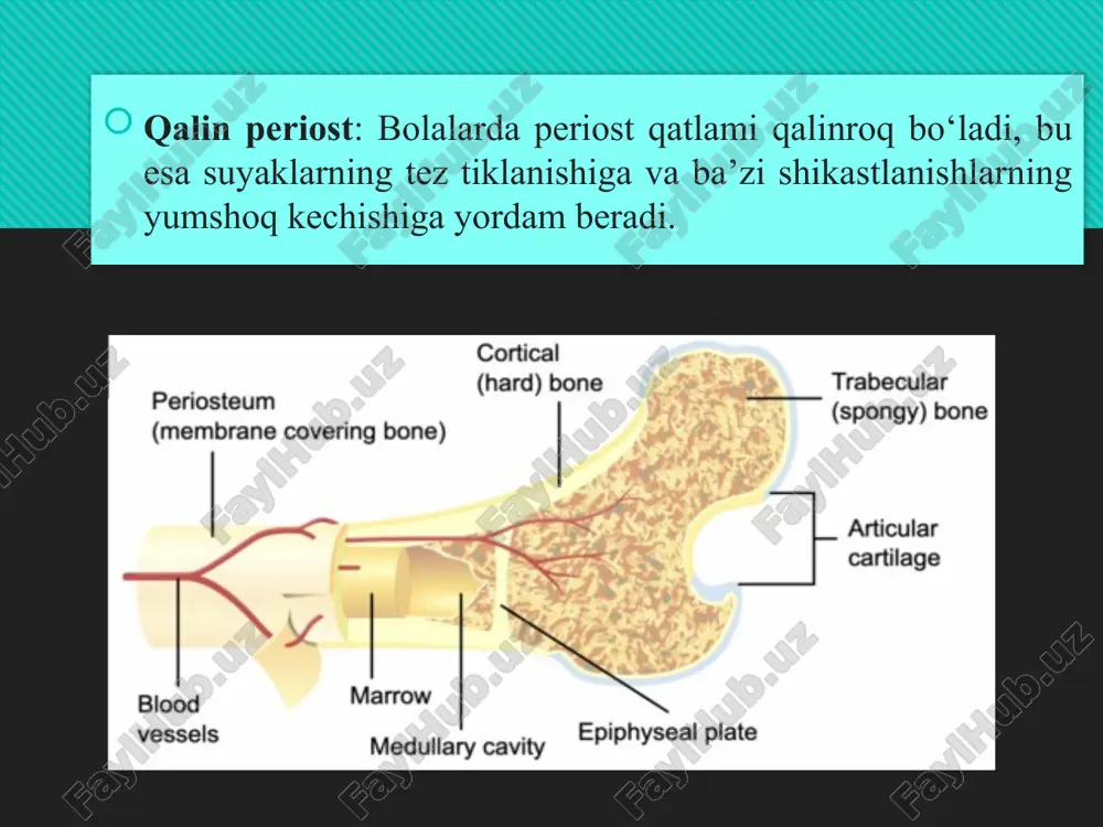 bolalarda suyak shikastlanishlarining o‘ziga xosligi - Page 5