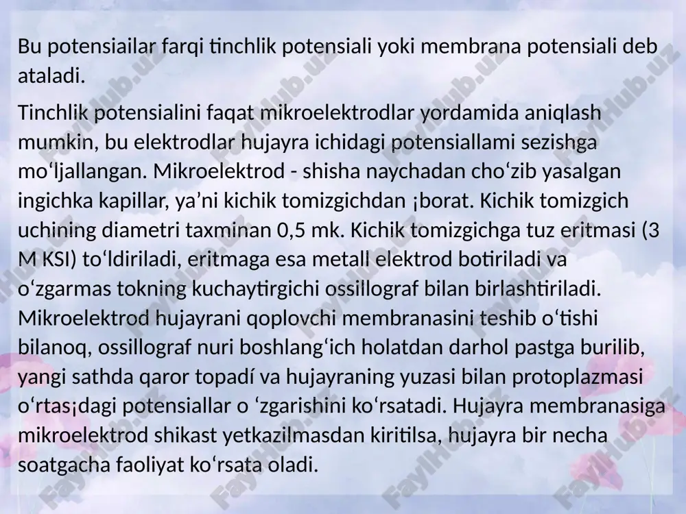 funksional tinch holat - Page 5