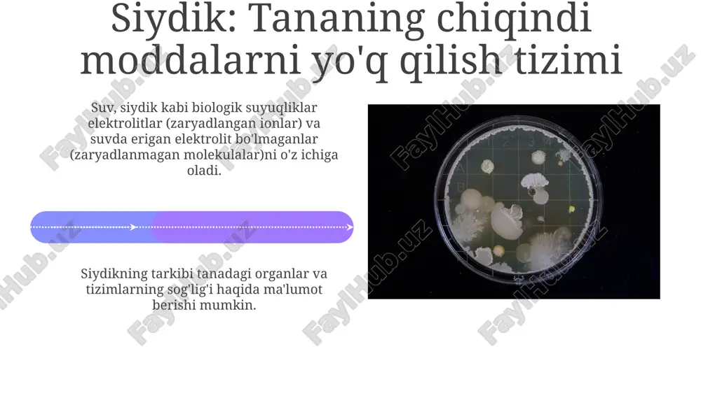 elektrolitlar va limfa - Page 5