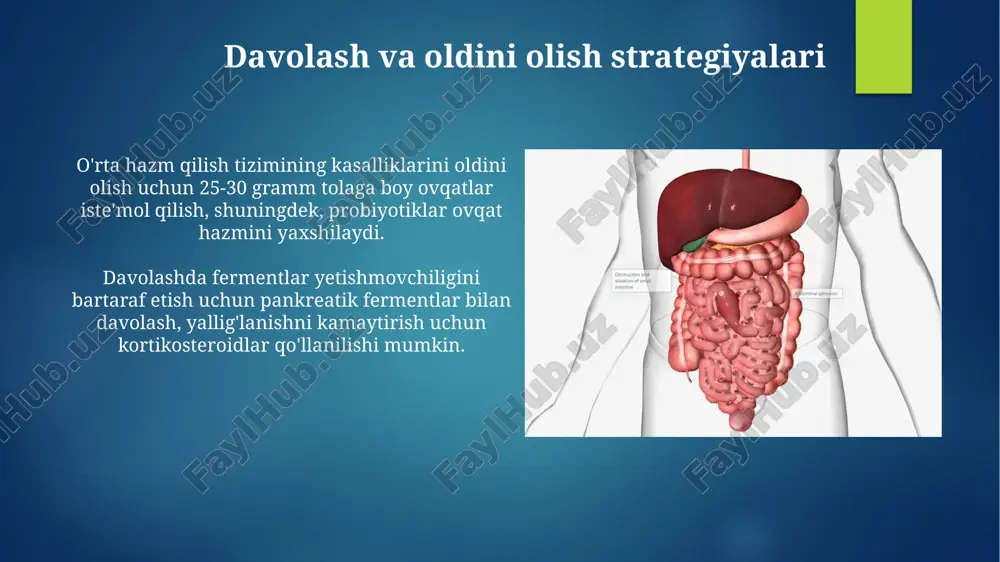 hazm sistemasini o'rta qismi - Page 5