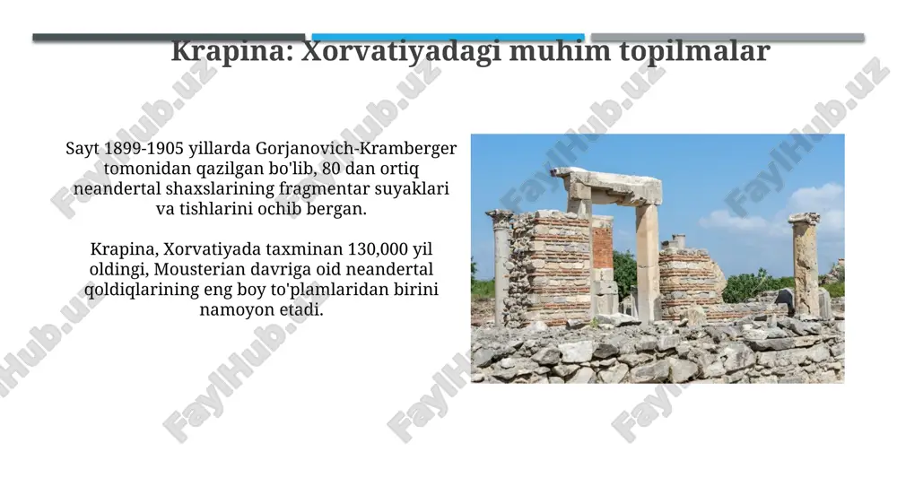 mustye davri arxeologik yodgorliklari - Page 5