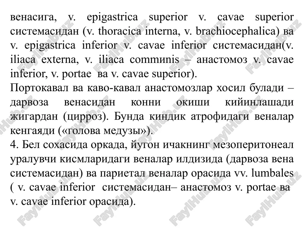 venasistemasining funksional anatomiyasi - Page 5