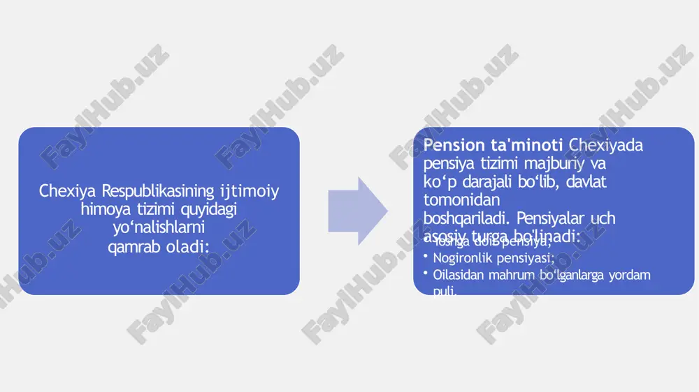 chexiya respublikasining ijtimoiy siyosati - Page 5