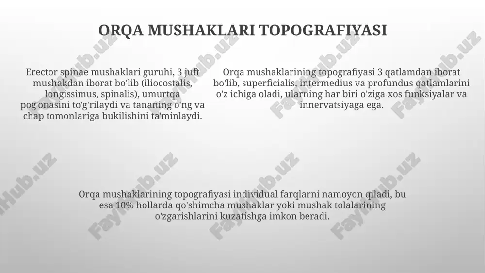 'qima qatlami bilan o'ralgan bo'lib, bir necha tolalar esa perimiy bilan o'raladi. har bir mushak tolasi endomiy deb ataluvchi yupqa biriktiruvchi to'qima qatlami bilan o'ralgan bo'lib, bir necha tolalar esa perimiy bilan o'raladi. mushaklarning qon ta'minoti mushaklarning qon ta'minoti asosan arterial sistema orqali amalga oshiriladi, bu yerda katta va kichik arteriyalar mushak tolalariga boy qon bilan ta'minlaydi, ularning diametri 1-2 mm gacha yetadi. kapillyarlar tarmog'i mushak to'qimasida juda zich joylashgan bo'lib, har bir mushak tolasi atrofida taxminan 3-4 ta kapillyar joylashgan va kislorod va ozuqa moddalarini etkazib beradi. mushaklarga qon oqimi ularning faolligiga bog'liq holda o'zgaradi; masalan, intensiv jismoniy mashqlar paytida qon oqimi 10-20 baravar ko'payishi mumkin. e'tiboringiz uchun rahmat @taqdimot_robot image1.png image2.png image3.png