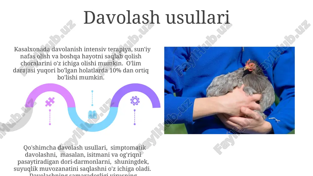parranda va cho‘chqa grippi va uning hozirgi kundagi muammolari - Page 5