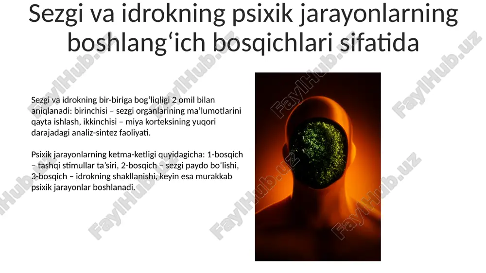 sezgi va idrok psixologiyasi - Page 5