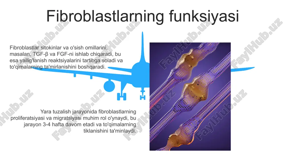 riktiruvchi to'qima, 60% dan ortiq kollagen tolalarini o'z ichiga olib, tana a'zolarini mustahkam bog'lash va ularga mexanik mustahkamlik berish vazifasini bajaradi, shu bilan birga organlarning shaklini saqlaydi. e'tiboringiz uchun rahmat @taqdimot_robot image5.jpg image6.jpg image7.jpg image8.jpg image9.jpg image10.jpg image11.jpg image12.jpg image13.jpg image14.jpg image15.jpg image16.jpg image17.jpg image18.jpg image19.jpg image20.jpg image21.jpg image1.jpeg image2.jpeg image3.jpeg image4.jpeg