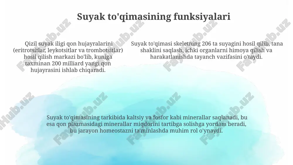 bo'lgan energiya sarflanadi va sarkomer uzunligi 10-30% ga qisqaradi. kalsiy ionlari (ca2+) mushak hujayralarining sarkoplazmatik retikulumidan chiqishi, tropomiozin molekulalarini siljitib, aktin va miozin orasidagi bog'lanishni faollashtiradi va qisqarishni boshlaydi. kalsiy ionlari (ca2+) mushak hujayralarining sarkoplazmatik retikulumidan chiqishi, tropomiozin molekulalarini siljitib, aktin va miozin orasidagi bog'lanishni faollashtiradi va qisqarishni boshlaydi. bog'lovchi to'qimaning tarkibiy elementlari bog'lovchi to'qimada qon tomirlarining zichligi turlicha bo'lib, ba'zi turlari yuqori darajada vaskulyarizatsiyaga ega (masalan, teri osti to'qimasi), boshqalari esa kamroq (masalan, suyaklarning ba'zi qismlari). bog'lovchi to'qima asosan 3 asosiy hujayra turini: fibroblastlar, makrofaglar va mast hujayralarini o'z ichiga oladi, ularning nisbati to'qima turiga qarab farq qiladi. ekstrasellular matritsaning tarkibiy elementlari – kollagen, elastin va proteoglikanlar, ularning miqdori va nisbati bog'lovchi to'qimaning mexanik xossalarini aniqlaydi, masalan, mustahkamlik yoki egiluvchanlik. e'tiboringiz uchun rahmat @taqdimot_robot image1.png