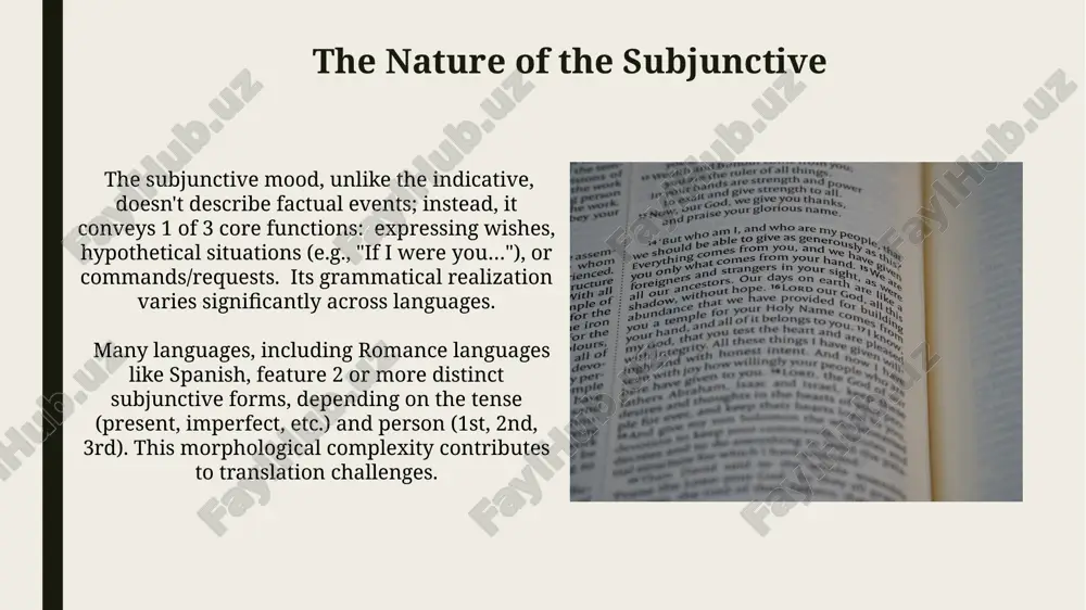 translation problems of subjunctive mood - Page 5
