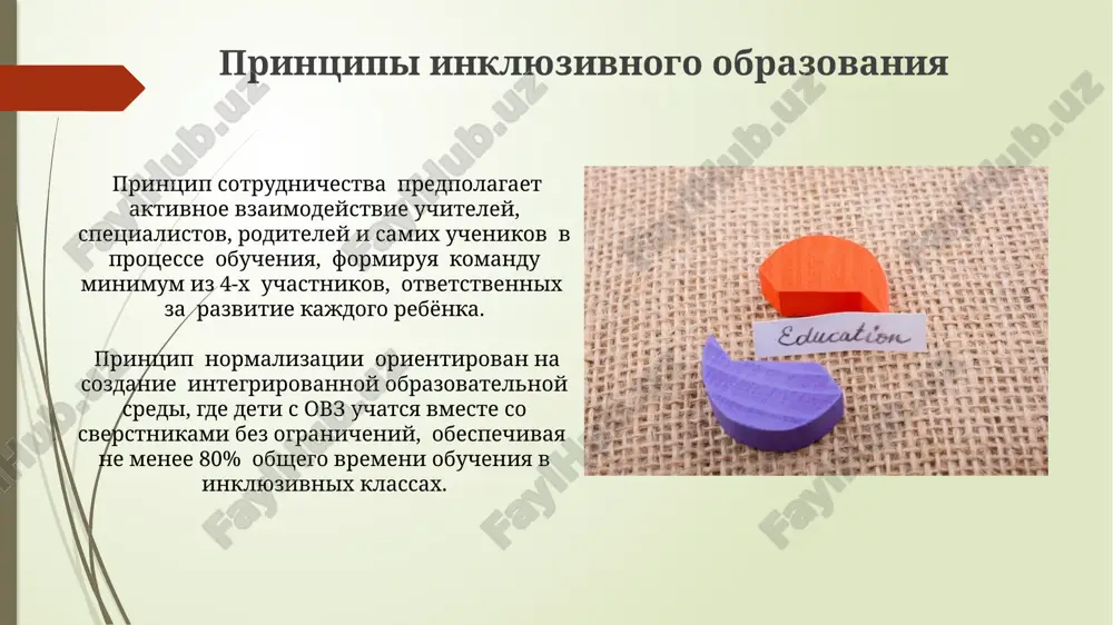 inklyuzivnoe obrazovanie - Page 5