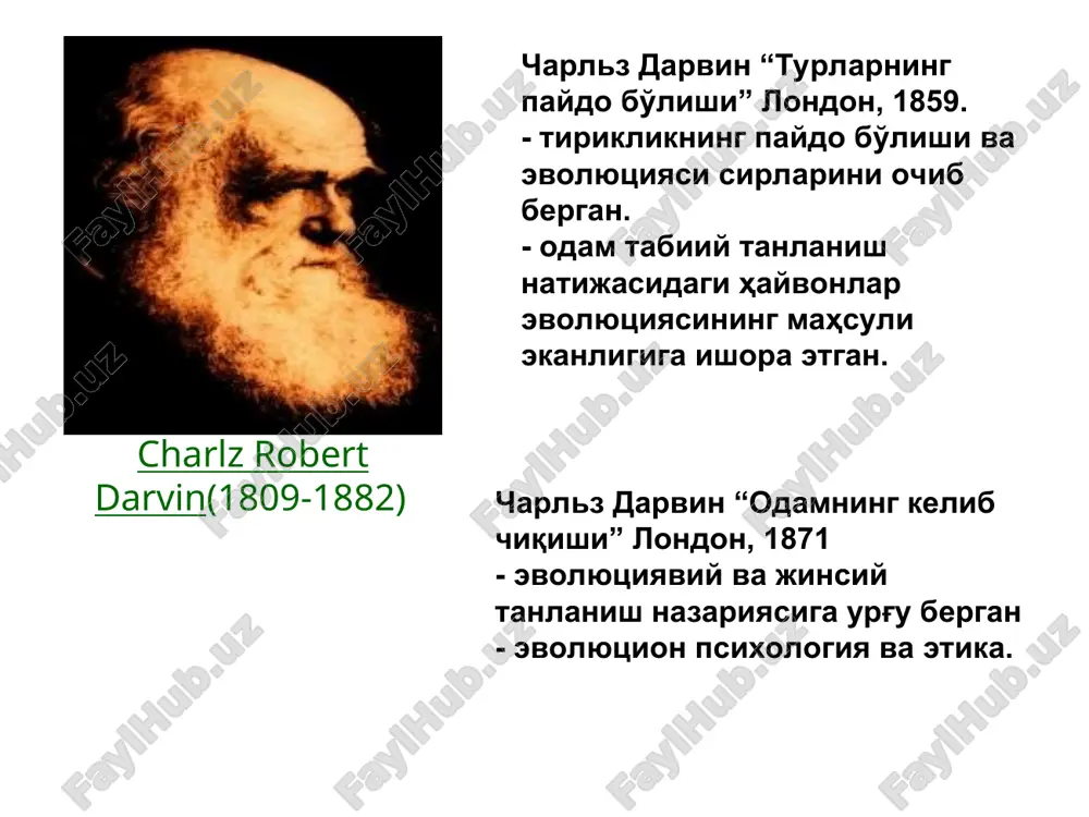 ida e'tirof etiladi. uchinchisi: “duragaylashish mintaqasi” (hibrid zone). osiyoda qadimdan evropoid odamlar yashab kelgan, ularning afrikadan kelgan homo sapiens bilan aralashib ketishi natijasida o'rta osiyo populyatsiyasi shakllangan. o'zbeklar populyatsiyasining kelib chiqishi haqida mulohazalar o'zbek olimlarining immunologiya, genetika institutlarida olib borayotgan molukulyar genetik tadqiqotlari qanday natija bergan (r ro'ziboqiev). 12 ta viloyatdan uch avlodi toza o'zbek millatiga mansub bo'lgan 100 ta odamning dnksi tahlil etilgan. natijada: o'zbeklar genofondining xilma-xilligi; individlarning 53 % evropoid, 47 % osiyo tipiga oidligi; o'zbeklarning mtdnk gaplotiplari 50 ming yilga tengligi; genetik jihatdan g'arb va sharq populyatsiyalarining o'rtasida markaziy o'rinni egallaydi.