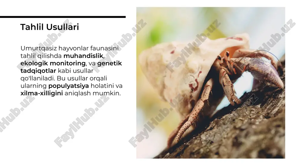 oʻzbekiston umurtqasiz hayvonlar faunasining biologik xilma-xilligi - Page 5