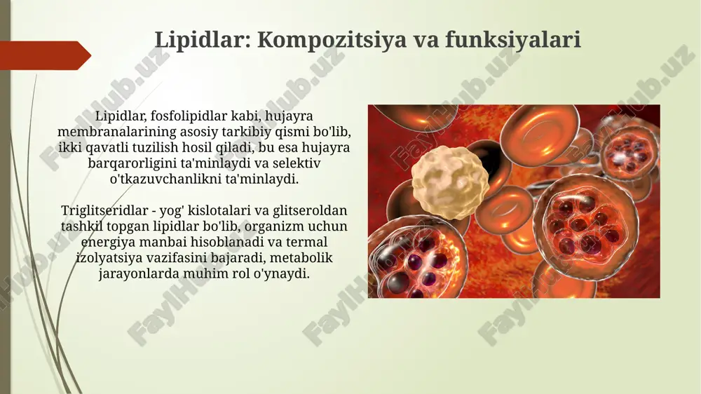 bezgakparazitiplazmolemmasi - Page 5
