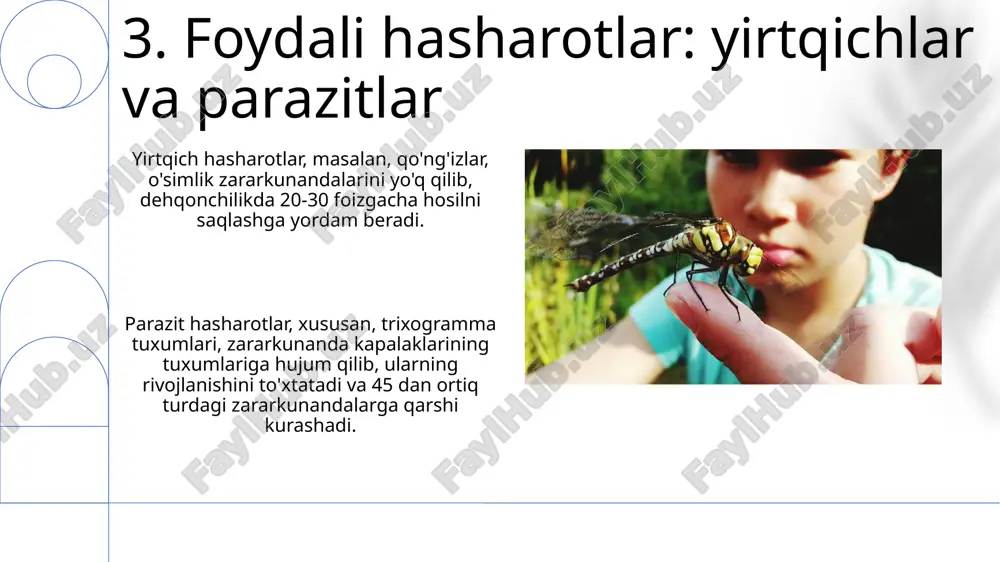 foydali va zararli hasharotlar - Page 5