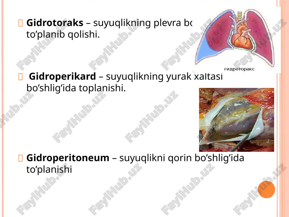epsisda badan terisi issiqqina bo'lib turishi rnurnkin, chunki periferik tornirlar kengayib, qonga to'lib turadi. e’tiboringiz uchun rahmat! image1.jpeg image2.jpeg image3.jpeg image4.jpeg image5.jpeg image6.jpeg image7.jpeg image8.jpeg image9.jpeg image10.jpeg image11.png image12.jpeg image13.jpeg image14.jpeg image15.jpeg image16.jpeg image17.jpeg image18.jpeg image19.jpeg image20.jpeg image21.jpeg image22.jpeg image23.jpeg image24.jpeg image25.jpeg image26.jpeg image27.jpeg image28.jpeg image29.jpeg image30.jpeg image31.jpeg image32.png image33.jpeg