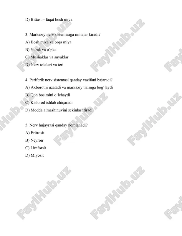 nerv sistemasi - Page 5