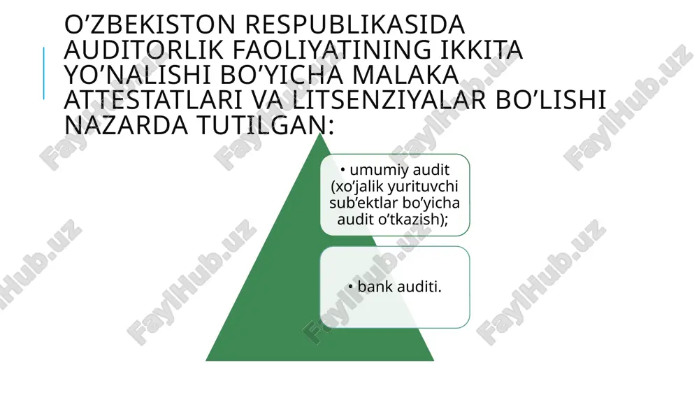 auditorlik faoliyatining huquqiy asoslari - Page 5