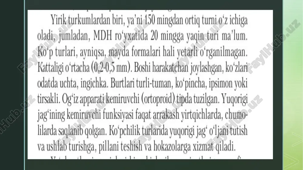 pardaqanotlilar(hymenoptera) - Page 5