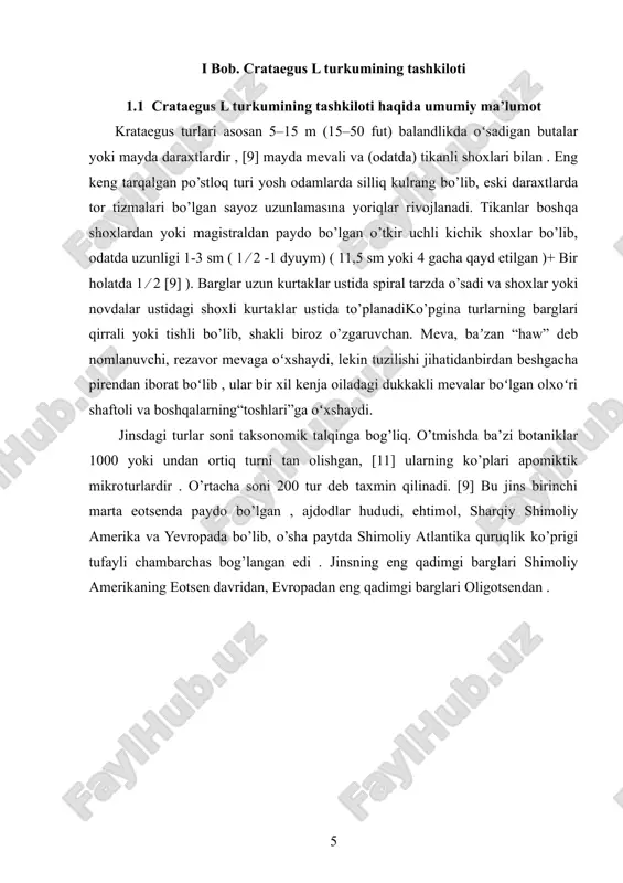 ib kelinmoqda. c. songarica o’zbekiston florasining botanik-geografik rayonlari bo’yicha farg’ona va g’arbiy tiyonshondagi janubiy chotqol tizmalarida tarqalishining ilk namunasi 19.07.1926 y. ye.a. korovin tomonidan terilgan. shuningdek, bir qator botanik olimlar: r.i. abolin 05.07.1927 y.; m.v. kultiasov 1928 y.v.v. lepeshkin 1932 y.; p.a. gomolitskiy 1939-1940 yy.; a.d. pyatayeva, s.x. chevrenidi 1948 y.; s.x. chevrenidi 1955 y.; u.p. pratov 1960 y. hamda 1967 y. toshkent shahridagi xiyobon va g’alaba dam olish maskani atrofidan turning gerbariy namunasi r. kazakbayev tomonidan olingan. crataegus remotilobata bo’yicha esa 1929 y. rus va ukrainalik botanik olim m.g. popov tomonidan fanga kiritilgan. tabiatda turning tarqalishi pomiroloy (xo’jand, gulcha) va g’arbiy tiyonshon (chotqol daryosi)ni qamrab oladi [9]. hozirgi kunda o’zbekiston milliy gerbariy fondida ushbu turning 6 dona namunalari saqlanib kelinmoqda c. remotilobata o’zbekiston florasining botanik-geografik rayonlari bo’yicha tarqalishi ilk namunasi 1920 y. g’arbiy tiyonshonning toshkent chirchiq yo’li atroflaridan m.g. popov tomonidan terilgan. 1924 y. esa i.a. raykova; 1927 y. …