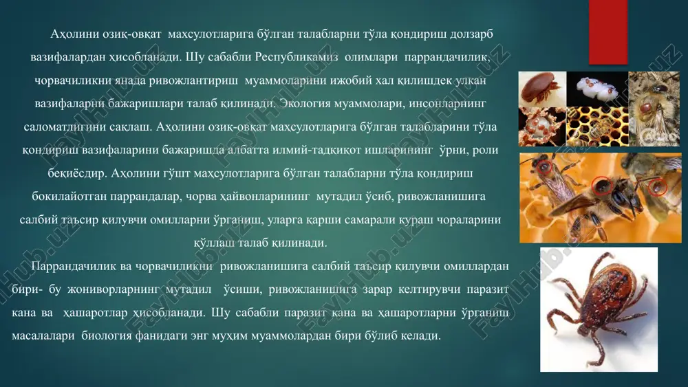 g jabrasi yo'qoladitekinho'r esa baqaning ichagiga undan kloakaga so'ng siydik pufagiga o'tib jinsiy voyaga etadi va butun umr davomida endoparazit bo'lib qoladi. tseller va gallienlar zeller, 1872; gallien, 1935 polistoma lichinkasini itbaliq jabrasida jinsiy voyaga etib tuxum qo'ya boshlaganligini kuzatdilar, bu ularni avlodlarini ektoparazitlik bilan xayot kechirganligidan guvoxlik beradi. barcha tsestodlar, akantotsefala va nematodlar endorazitlardir. annelidlar tekinho'rlikka o'tayotganda ular doimo ektoparazit bo'lib qoladilar. mollyuskalar ichida xar ikkala kategoriyaga kiruvchi tekinho'rlar bor. bo'g'im oyoqlarni ichida tekinho'rlik xar ikkala xilidan xam ko'plab uchraydi. 10 iksod kanalar (ixodidae) iksod kanalari kanalar turkumi orasida eng yiriklari hisoblanib, jinsiy voyaga etganlarining kattaligi bir necha mm dan 2—3 sm gacha boradi. tanasi bo'g'imlarga bo'linmagan. oziqlanish darajasiga ko'ra ularning katta-kichikligi, gavdasining shakli va rangi o'zgarib turadi. 11 kanalarning rivojlanishi 12 it kanasi (ixodes ricinus) it kanasining imago davridagi xo'jayini qoramol, ot, qo'y, echki, bug'u, tulki, bo'ri, quyon, tipratikan va boshqalar hisoblanadi. kana lichinka va nimfa davrlarida asosan …