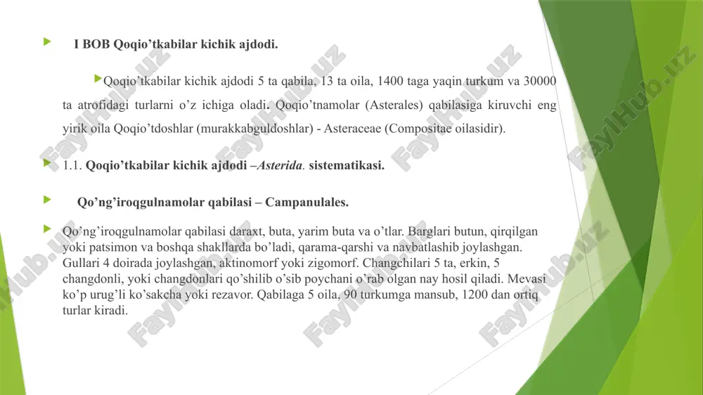 o’zbekiston florasidaasteraceaeoilasi mavzusidakurs ishi - Page 5