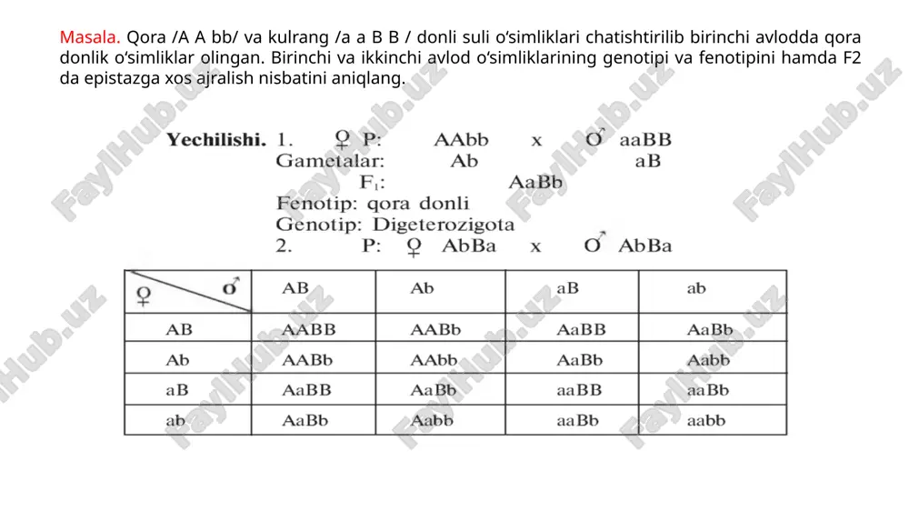genlarning epistaz ta’siri - Page 5