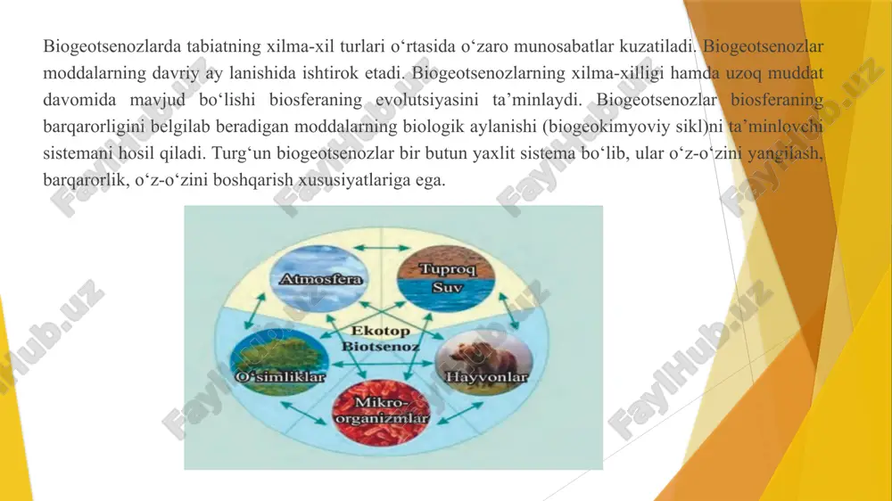 ekosistemalar va ekotizimlar dinamikasi - Page 5