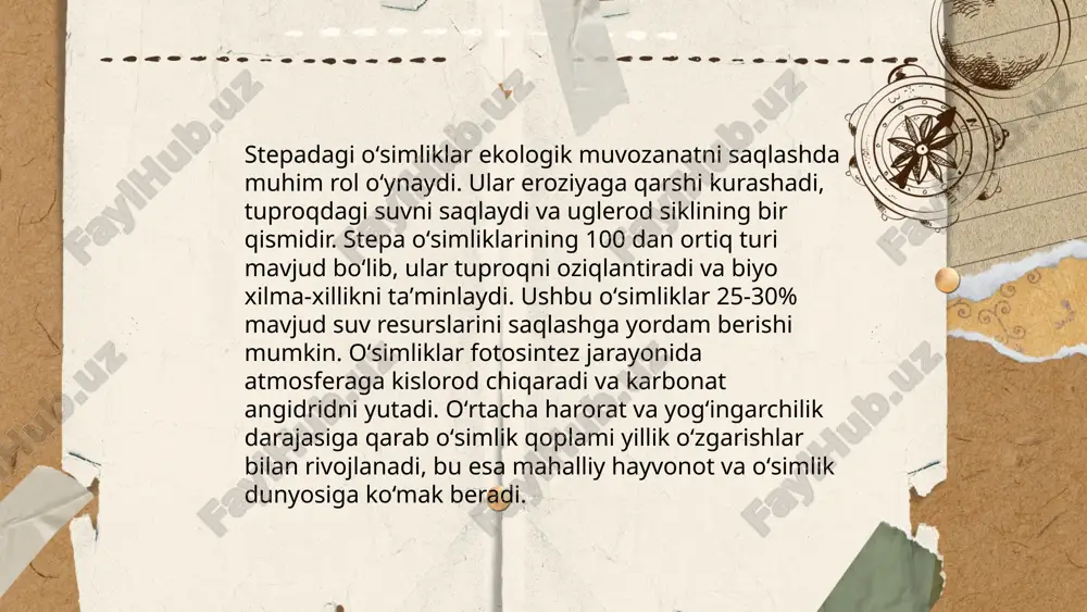 step va dasht oʻsimliklari - Page 5