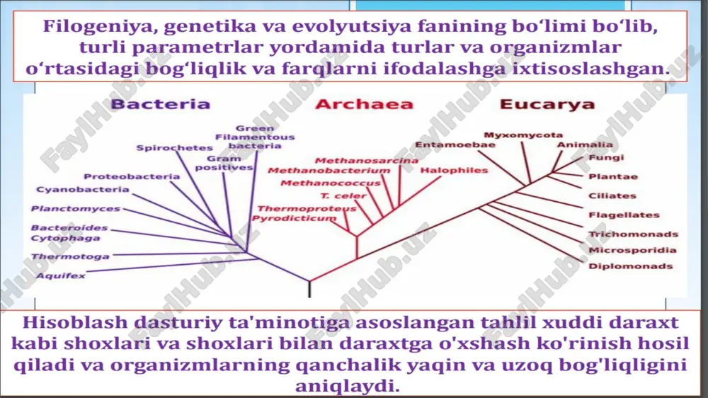 filogenetik daraxtlarni tuzish - Page 5